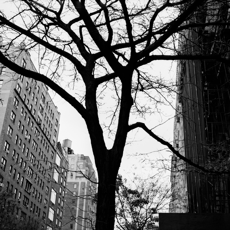 CCC201200606W033043_IMACON12DIVIDED_CLEAN_LR