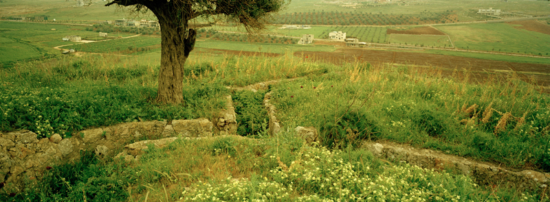 CCC200400235C276002_IMACON2STDIVIDED-3_CLEAN_LR