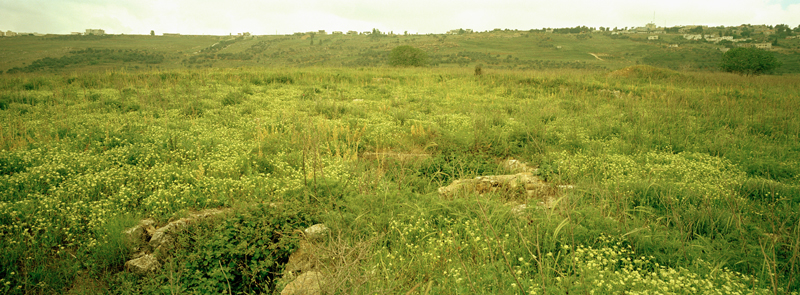 CCC200400235C276002_IMACON3STDIVIDED-2_CLEAN_LR