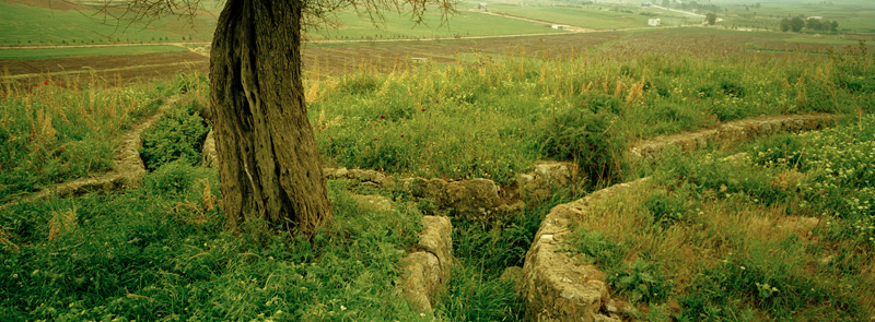 CCC200400235C276002_IMACON3STDIVIDED-3_CLEAN_LR