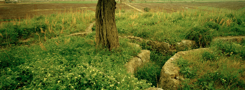 CCC200400235C276002_IMACON3STDIVIDED_CLEAN_LR