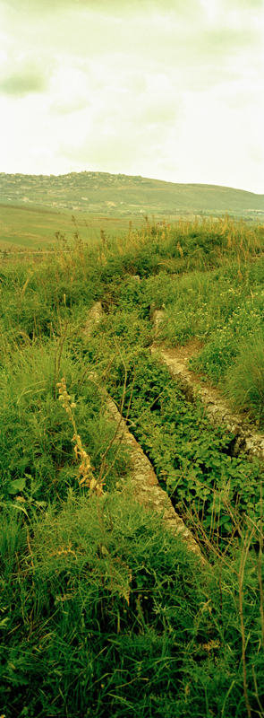 CCC200400235C276002_IMACON6STDIVIDED_CLEAN_LR