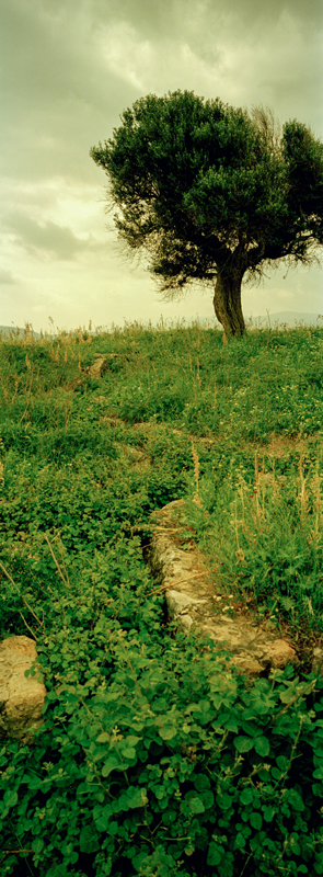 CCC200400235C276007_IMACON1STDIVIDED_CLEAN_LR