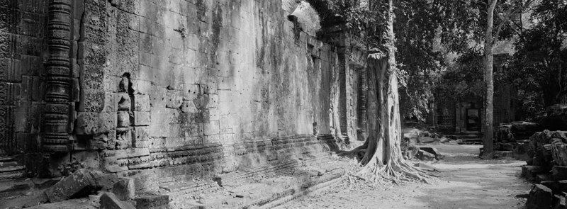 CCC200700235W336024_IMACON6EXTDIVIDED-2_CLEAN_LR