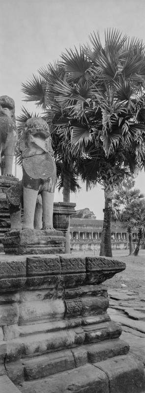 CCC200700235W336038_IMACON1EXTDIVIDED_CLEAN_LR