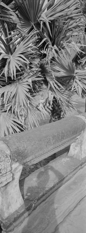 CCC200700235W336038_IMACON6EXTDIVIDED_CLEAN_LR