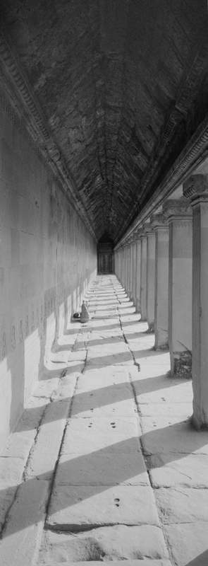 CCC200700235W336038_IMACON7EXTDIVIDED-2_CLEAN_LR