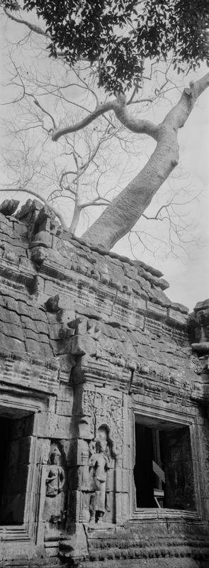 CCC200700235W336001_IMACON1EXTDIVIDED-2_CLEAN_LR