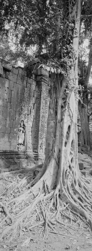 CCC200700235W336010_IMACON1EXTDIVIDED-2_CLEAN_LR