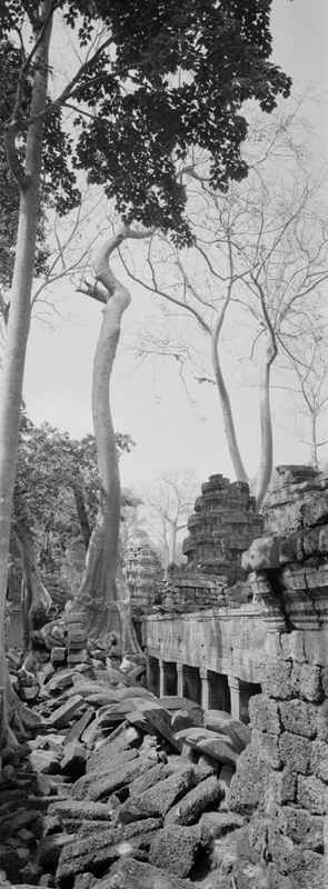 CCC200700235W336012_IMACON6EXTDIVIDED-2_CLEAN_LR