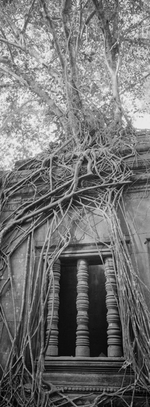 CCC200700235W336013_IMACON4EXTDIVIDED-2_CLEAN_LR