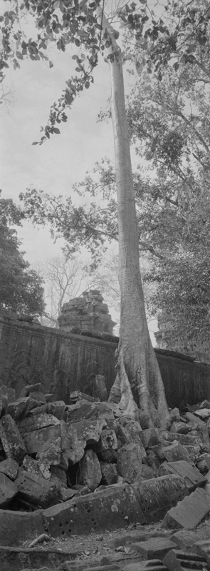 CCC200700235W336027_IMACON6EXTDIVIDED-2_CLEAN_LR