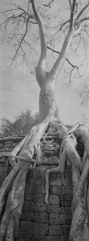 CCC200700235W336028_IMACON5EXTDIVIDED-2_CLEAN_LR