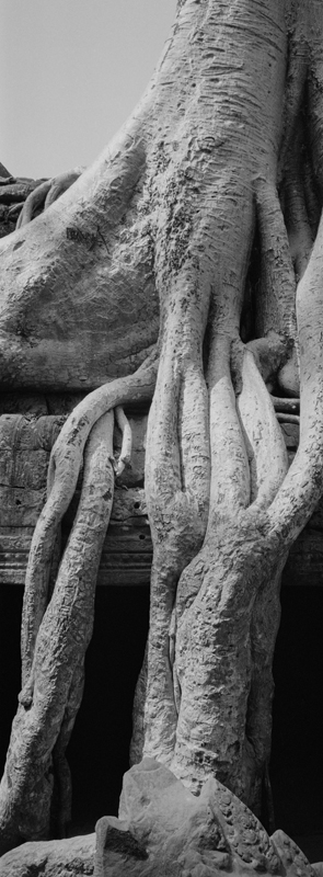 CCC200700235W336028_IMACON6EXTDIVIDED-3_CLEAN_LR