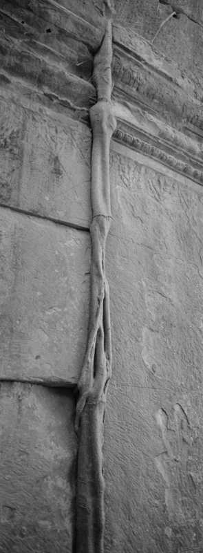 CCC200700235W336035_IMACON7EXTDIVIDED-3_CLEAN_LR