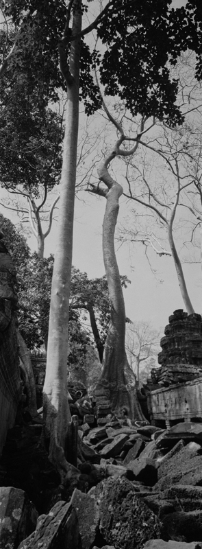 CCC200700235W336036_IMACON4EXTDIVIDED_CLEAN_LR