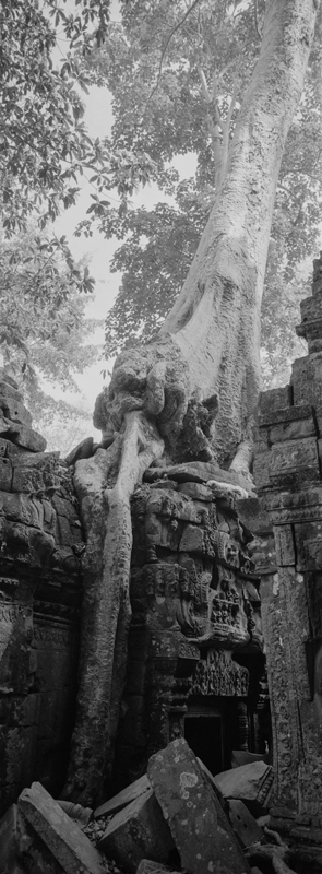 CCC200700235W336036_IMACON5EXTDIVIDED-2_CLEAN_LR