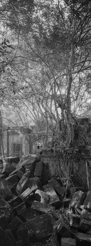 CCC200700235W336039_IMACON5EXTDIVIDED-2_CLEAN_LR