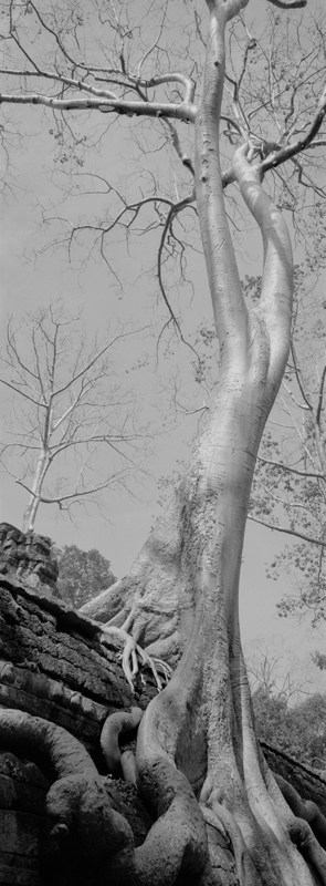 CCC200700235W336040_IMACON2EXTDIVIDED-2_CLEAN_LR