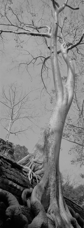 CCC200700235W336040_IMACON2EXTDIVIDED_CLEAN_LR