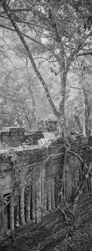 CCC200700235W336042_IMACON4EXTDIVIDED_CLEAN_LR