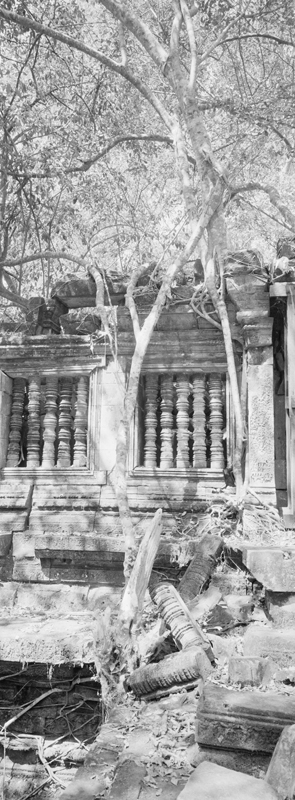 CCC201000255W345005_IMACON6EXTDIVIDED-2_CLEAN_LR