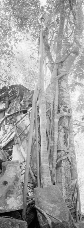 CCC201000255W345005_IMACON6EXTDIVIDED_CLEAN_LR