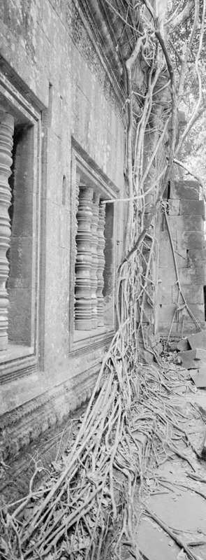 CCC201000255W345005_IMACON7EXTDIVIDED-3_CLEAN_LR