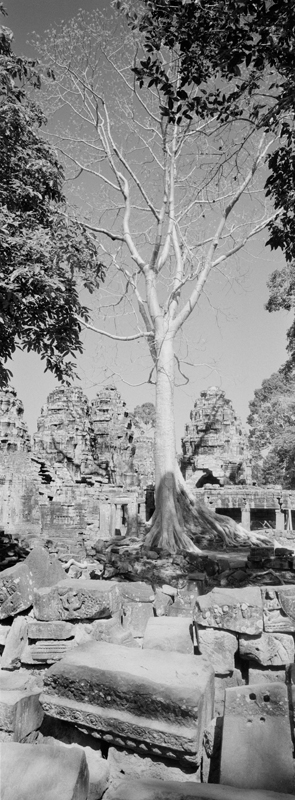 CCC201000255W345006_IMACON4EXTDIVIDED_CLEAN_LR