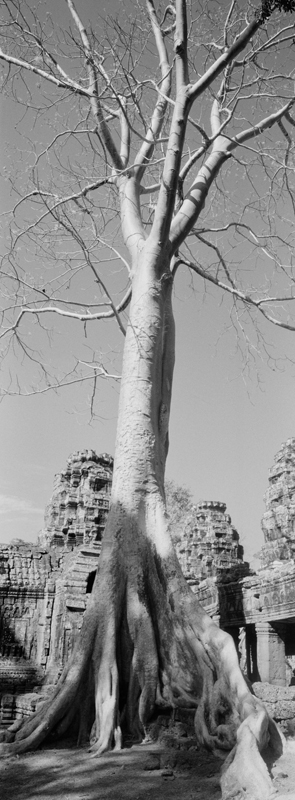 CCC201000255W345010_IMACON1EXTDIVIDED-3_CLEAN_LR