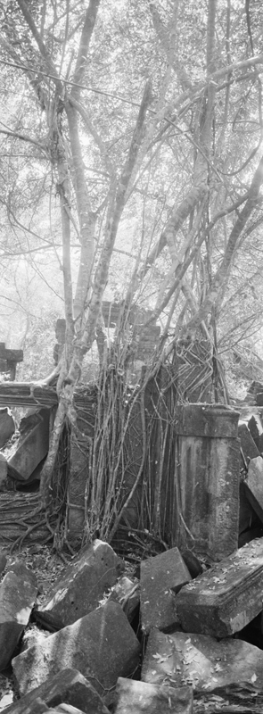 CCC201000255W345011_IMACON4EXTDIVIDED-3_CLEAN_LR