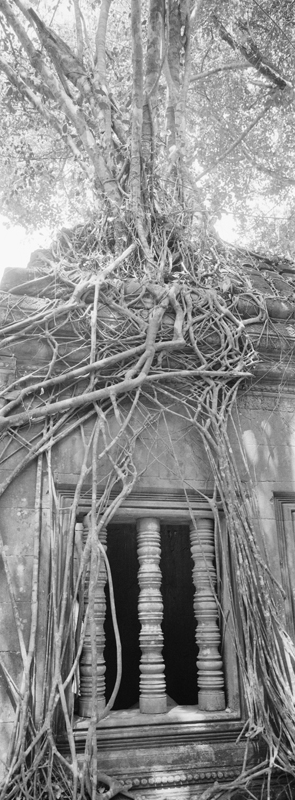 CCC201000255W345011_IMACON7EXTDIVIDED-2_CLEAN_LR