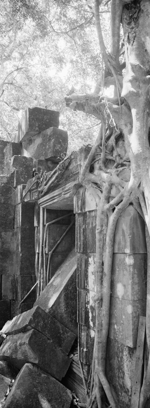 CCC201000255W345020_IMACON5EXTDIVIDED-2_CLEAN_LR