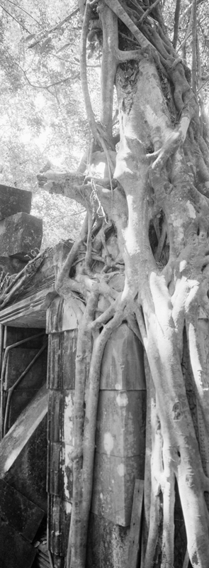 CCC201000255W345020_IMACON5EXTDIVIDED-3_CLEAN_LR