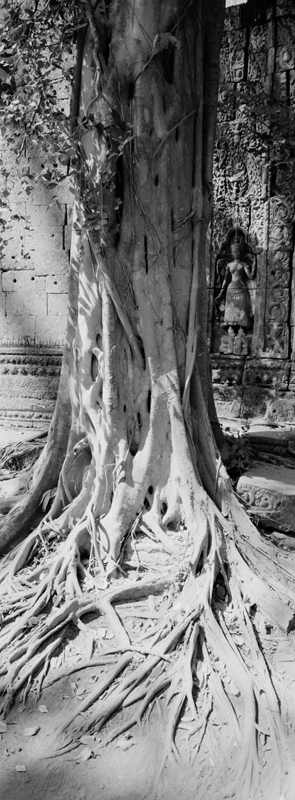 CCC201000255W345024_IMACON1EXTDIVIDED_CLEAN_LR