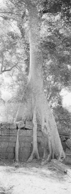 CCC201000255W345025_IMACON5EXTDIVIDED_CLEAN_LR