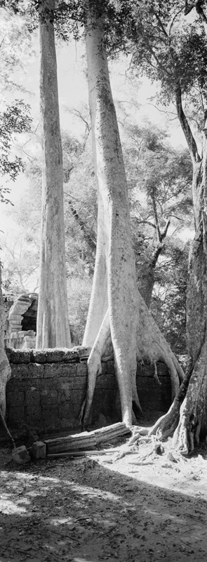 CCC201000255W345025_IMACON6EXTDIVIDED_CLEAN_LR