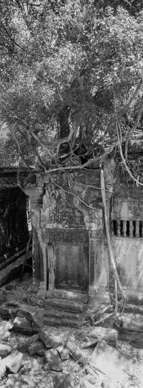 CCC201000255W345032_IMACON6EXTDIVIDED-3_CLEAN_LR