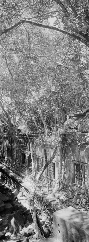 CCC201000255W345032_IMACON7EXTDIVIDED_CLEAN_LR