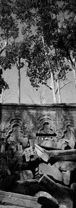 CCC201000255W343001_IMACON7EXTDIVIDED-3_CLEAN_LR