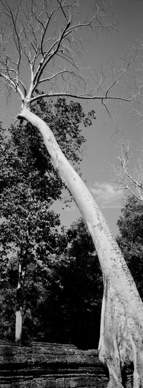 CCC201000255W343004_IMACON1EXTDIVIDED-2_CLEAN_LR