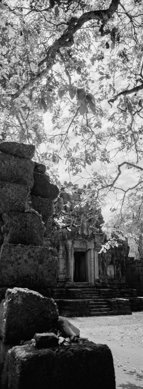 CCC201000255W343009_IMACON4EXTDIVIDED-2_CLEAN_LR