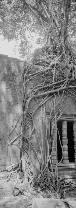 CCC201000255W343017_IMACON1EXTDIVIDED_CLEAN_LR