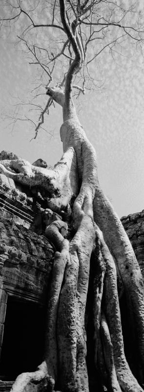 CCC201000255W343018_IMACON5EXTDIVIDED-3_CLEAN_LR