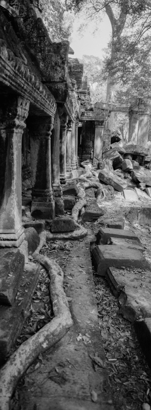 CCC201000255W343019_IMACON3EXTDIVIDED-3_CLEAN_LR