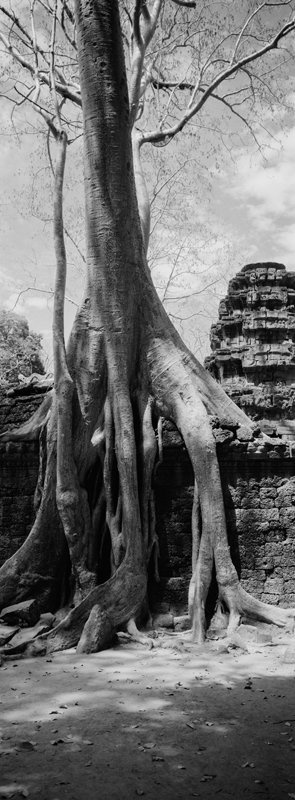 CCC201000255W343020_IMACON2EXTDIVIDED_CLEAN_LR