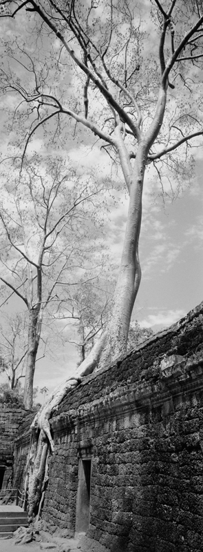 CCC201000255W343020_IMACON6EXTDIVIDED-2_CLEAN_LR