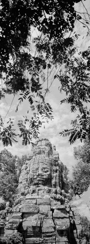 CCC201000255W343027_IMACON3EXTDIVIDED-2_CLEAN_LR