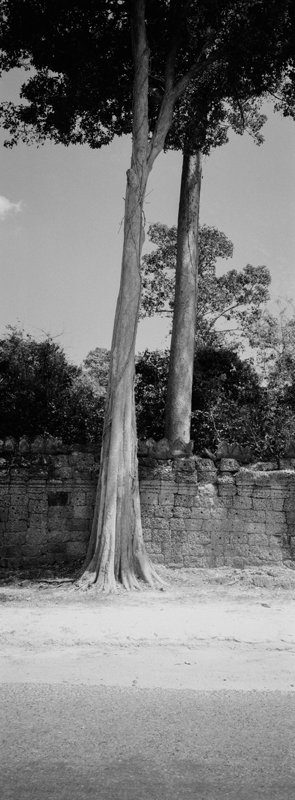 CCC201000255W343027_IMACON6EXTDIVIDED-2_CLEAN_LR