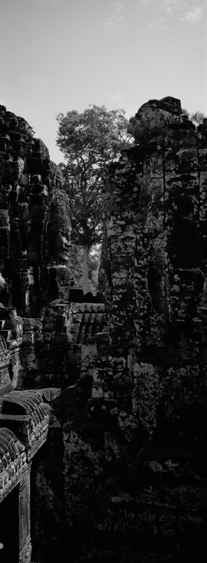 CCC201000255W343028_IMACON7EXTDIVIDED_CLEAN_LR